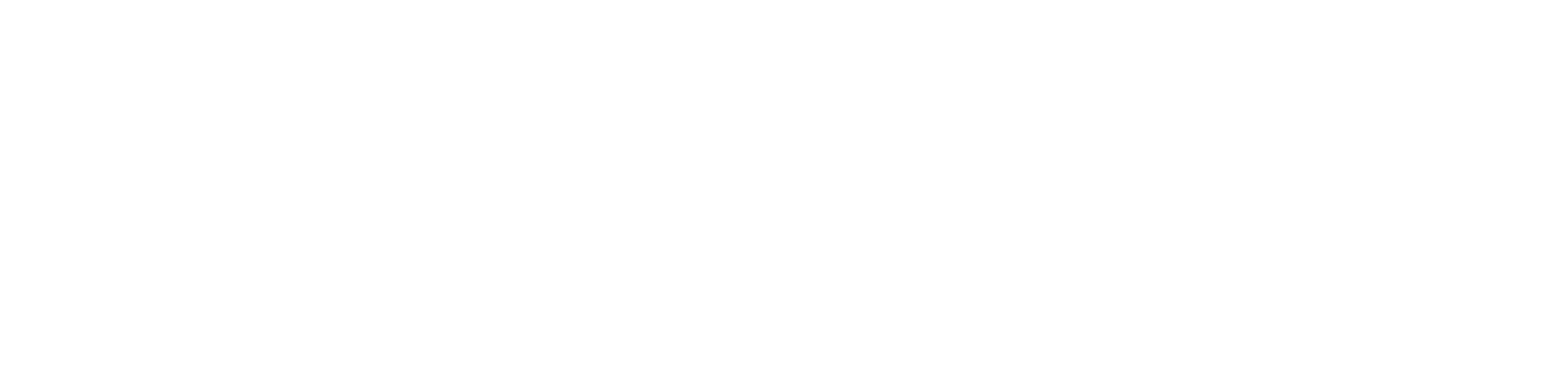 zenrise